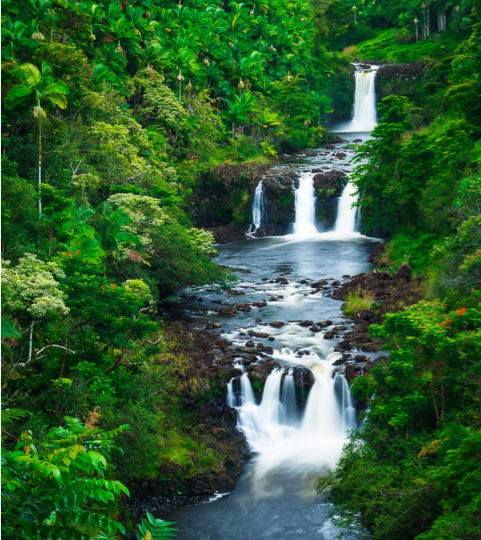 Waterfall cascading through Hawaiian forest